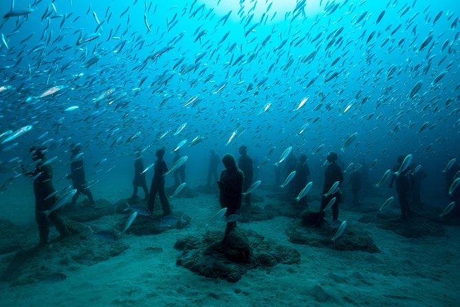 Museo Atlantico for non-certified divers - Museo Atlántico itself: what you’ll likely see and how the pace feels
