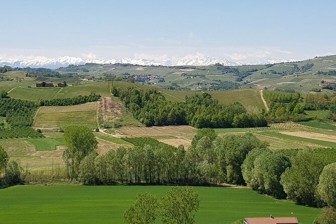 Museo delle Langhe Entrance Ticket - Key takeaways before you buy