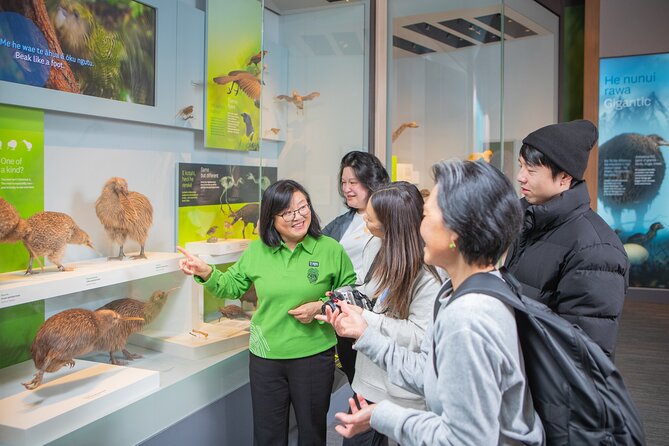 Museum of New Zealand Te Papa Tongarewa: Introducing Te Papa Tour - Key things to know before you go