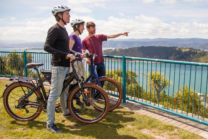 Museum of New Zealand Te Papa Tongarewa: Introducing Te Papa Tour - Art, design, and photography: how the guide helps you look longer
