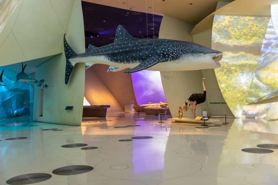 National Museum of Qatar: Admission Ticket - Quick hits for your National Museum of Qatar day