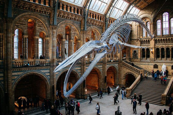 Natural History Museum London - Exclusive Guided Museum Tour - Key highlights you’ll care about