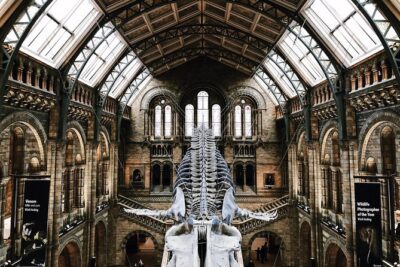 Natural History Museum London - Exclusive Guided Museum Tour - The two-hour route: what you’ll see with your guide