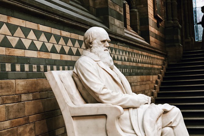 Natural History Museum London - Exclusive Guided Museum Tour - What makes the guide the real value