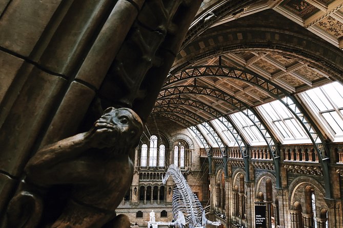 Natural History Museum London - Exclusive Guided Museum Tour - Price and what you’re really buying