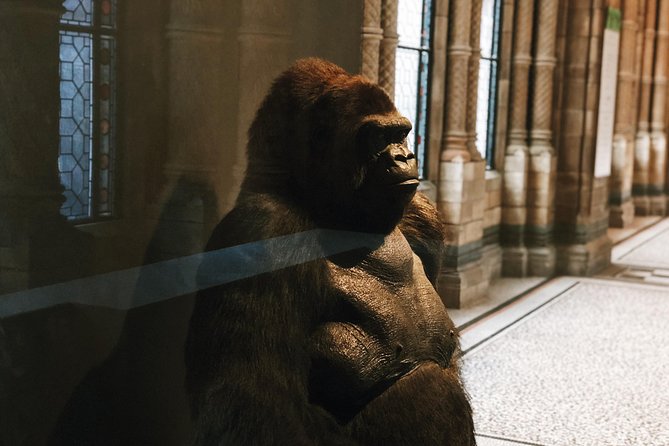 Natural History Museum London - Exclusive Guided Museum Tour - Morning or afternoon plans: when to go