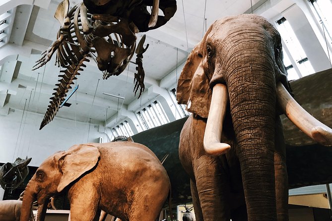 Natural History Museum London - Exclusive Guided Museum Tour - Practical notes that can save your day