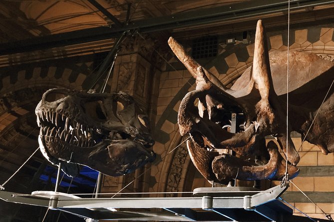 Natural History Museum London - Exclusive Guided Museum Tour - Who this tour is best for