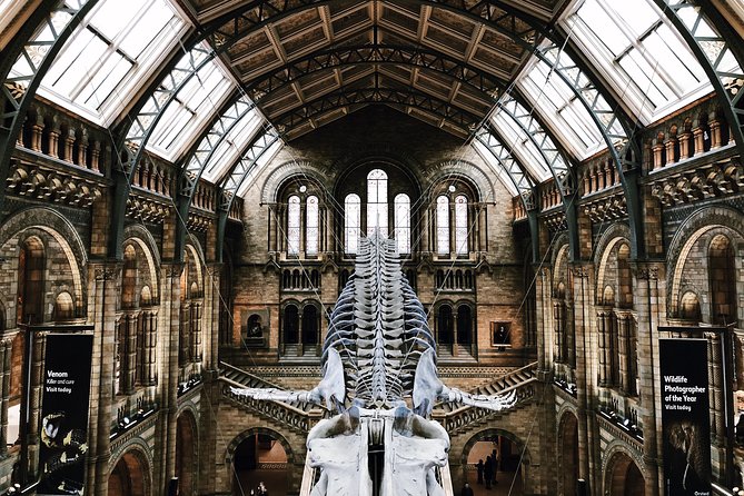 Natural History Museum London - Exclusive Guided Museum Tour - The two-hour route: what you’ll see with your guide