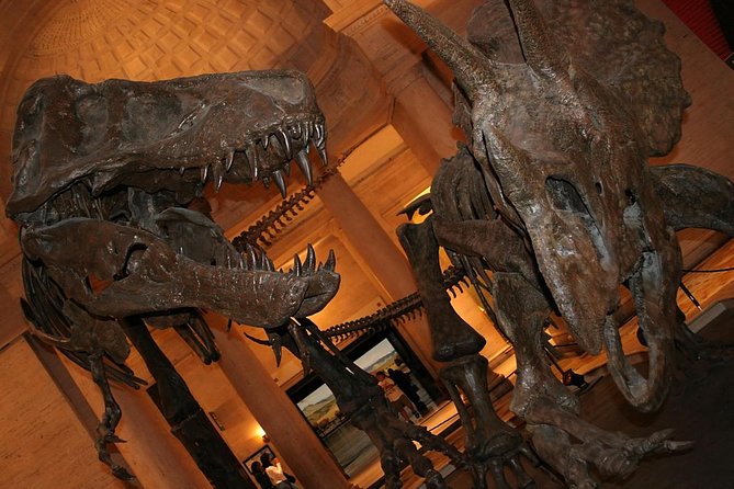 Natural History Museum of Los Angeles County Admission - Key Takeaways Before You Go