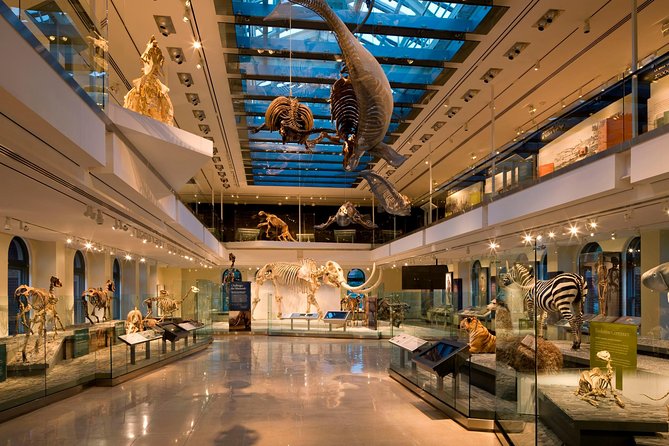 Natural History Museum of Los Angeles County Admission - Gems and Minerals Hall: Diamonds, Rubies, Sapphires, and Gold