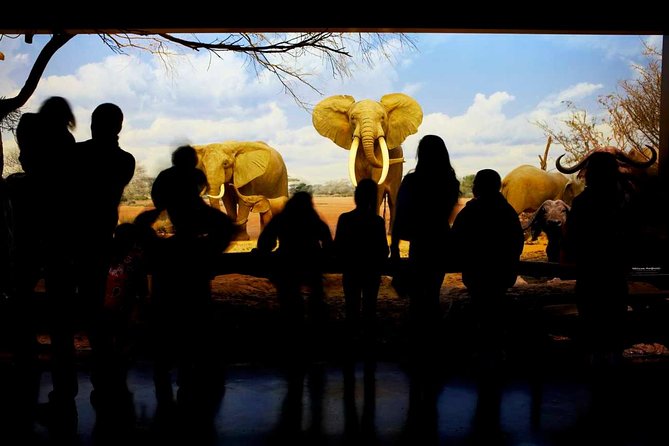 Natural History Museum of Los Angeles County Admission - How Much Time You Really Need (and How to Pace It)