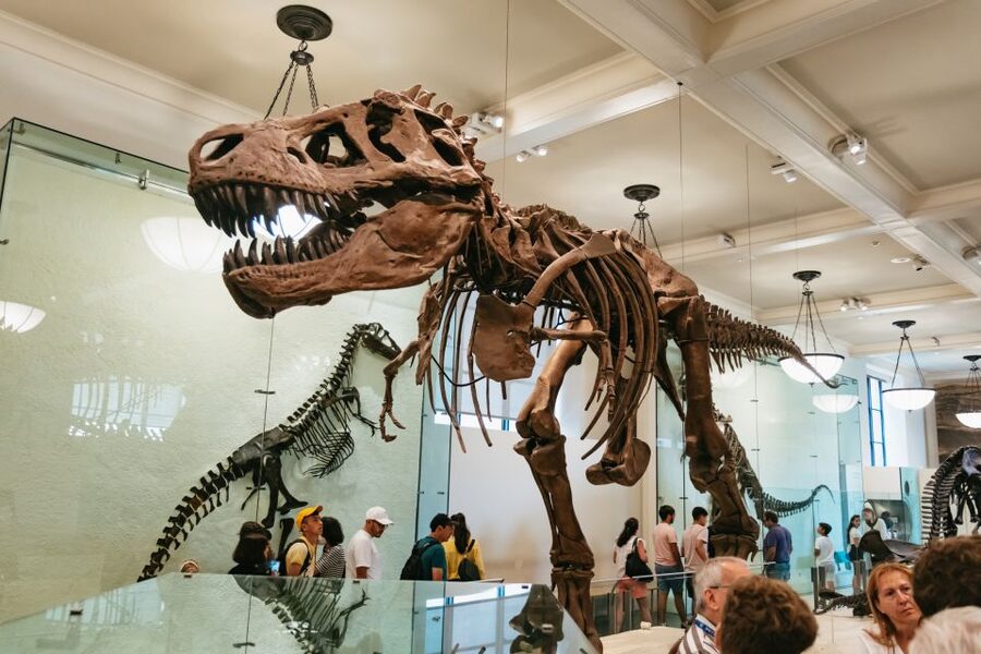 New York City: American Museum of Natural History Ticket - First look at AMNH: where the day starts near Central Park