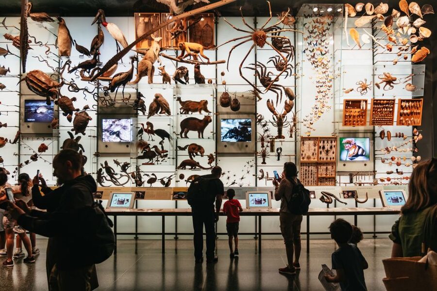 New York City: American Museum of Natural History Ticket - What’s included on your day: permanent halls, Rose Center, and Gilder Center