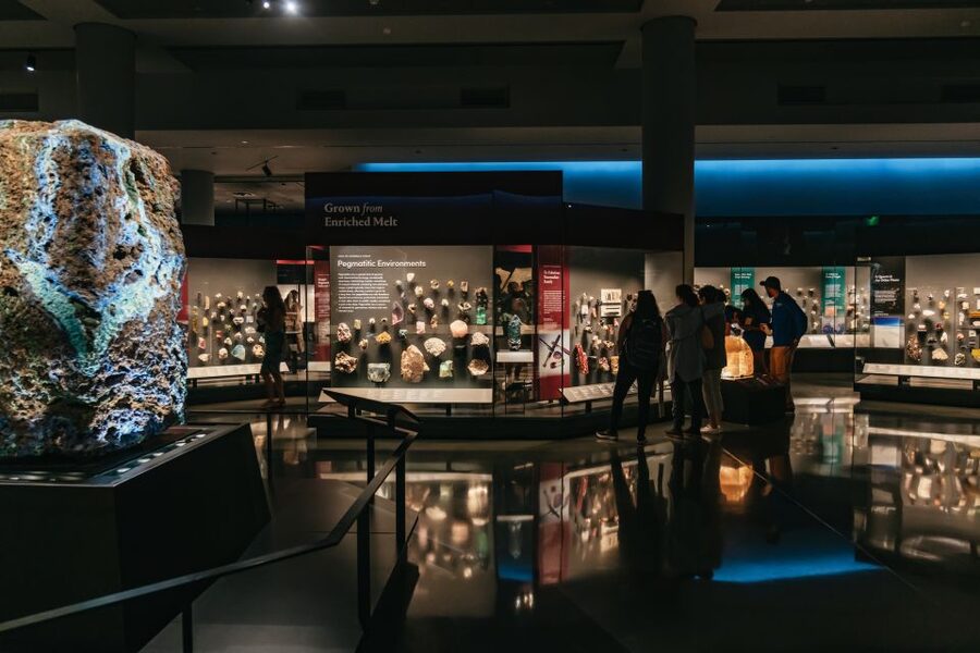 New York City: American Museum of Natural History Ticket - Building your one-day route: start smart so you don’t miss the best stuff