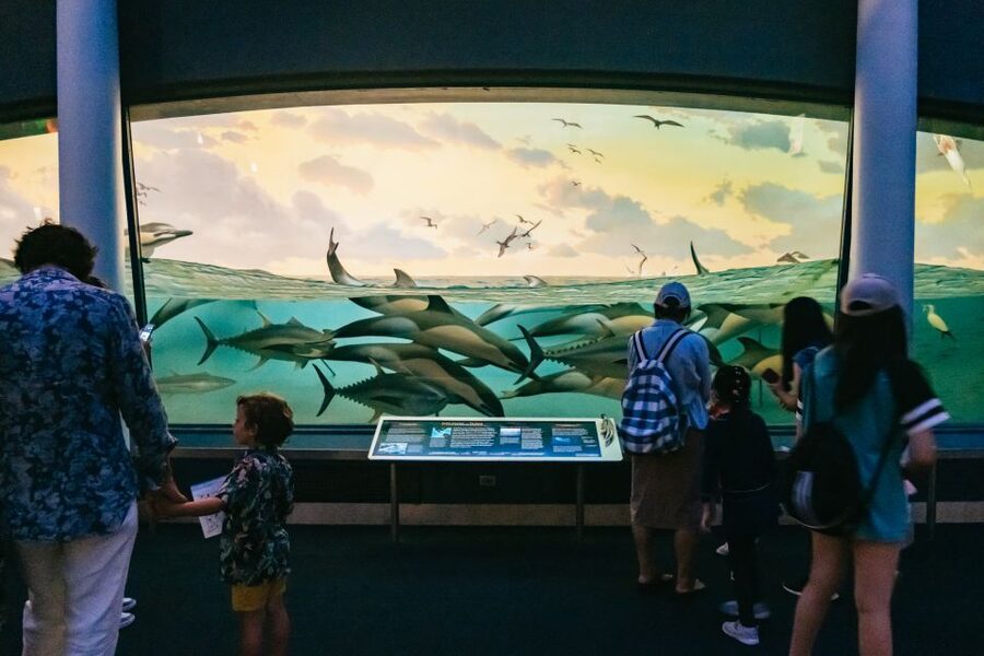 New York City: American Museum of Natural History Ticket - The Gilder Center experience: planetarium, biodiversity, and ocean life