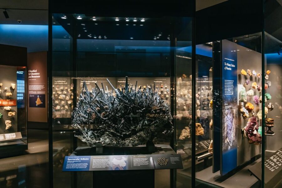 New York City: American Museum of Natural History Ticket - Ticketed exhibitions: choose with intent, not impulse