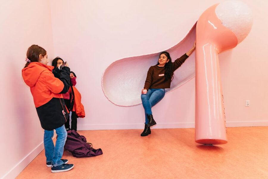 NYC: Museum of Ice Cream Entry Ticket - Pink Subway Ride and Themed Galleries: Wacky Fun With Purpose