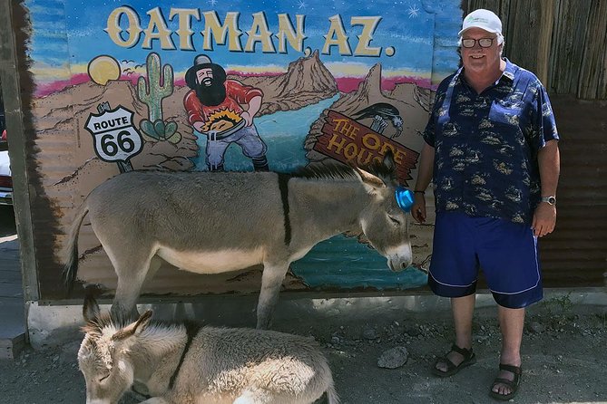 Oatman Mining Camp & Burros: Historic Route 66 Tour from Laughlin - Key points worth knowing