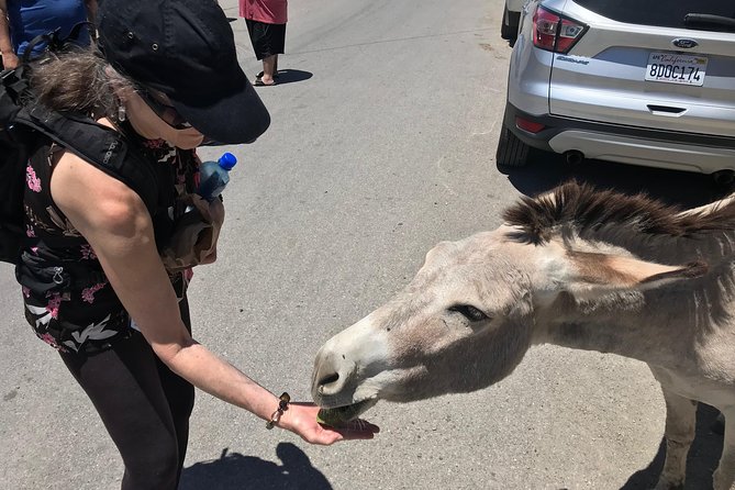 Oatman Mining Camp & Burros: Historic Route 66 Tour from Laughlin - Stop 5: Golden Valley and the Route 66 Rock Shop (“Sidewinder” road time)