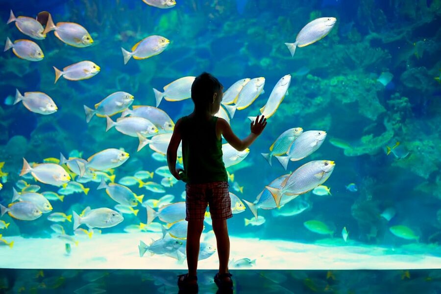 Oceanographic Museum of Monaco Ticket - OCEANO ODYSSEY: A Futuristic Submersible Concept