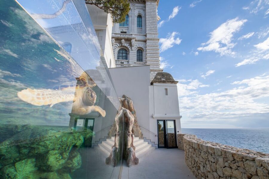Oceanographic Museum of Monaco Ticket - Entering The Museum: Timing and the 30-Minute Rule