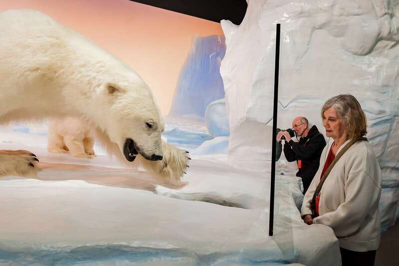 Ottawa: Canadian Museum of Nature Admission - Key reasons to go