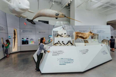 Ottawa: Canadian Museum of Nature Admission - The historic building near Parliament Hill: great start point and smart pacing