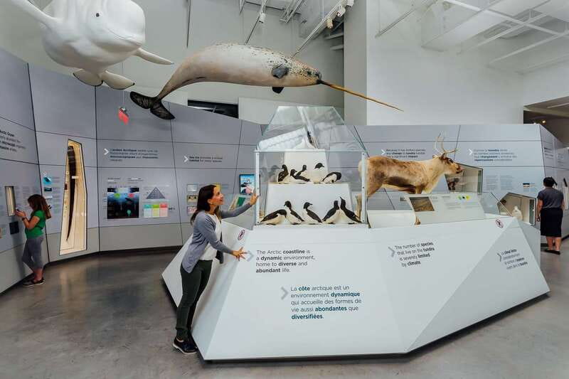 Ottawa: Canadian Museum of Nature Admission - The historic building near Parliament Hill: great start point and smart pacing