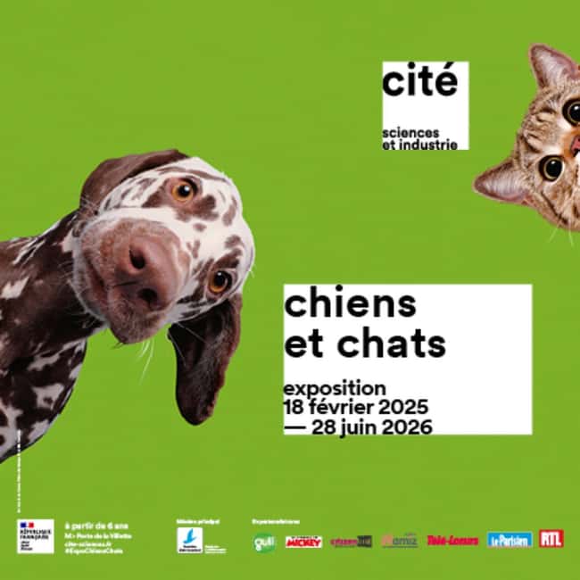 Paris: City of Science and Industry Museum Entry Ticket - Food and breaks: The part people forget until they’re hungry