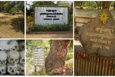 Phnom Penh City Tour, Silver Pagoda, Genocide Museum, Killing Fields - Royal Palace and Silver Pagoda: royal power, silver tile details, and strict dress code