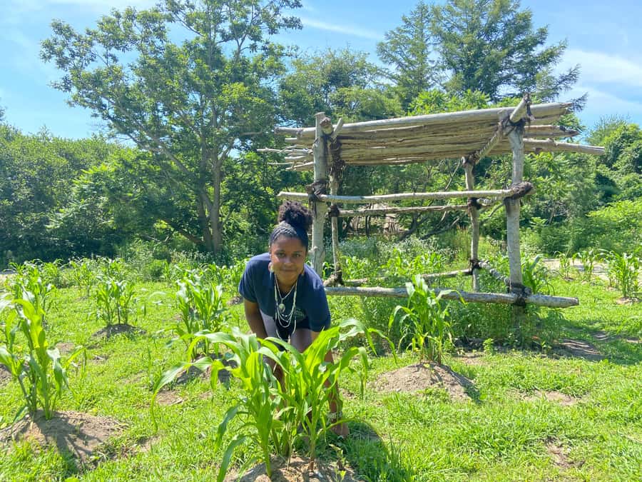 Plymouth: Plimoth Patuxet Museums - 3 tickets available - Craft Center and Davis Gallery: hands-on skills and rotating exhibits