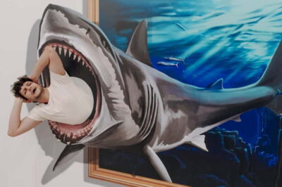 Portimao: 3D Fun Art Museum Entry Ticket - Start at the sign, then get your camera ready