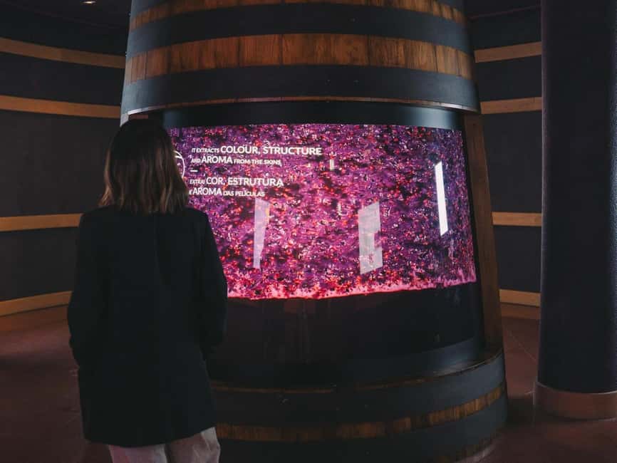 Porto: Entry Ticket at WOW - The Wine Experience Museum - Portugal’s wine regions on one visit (Douro, Madeira, Vinho Verde and more)