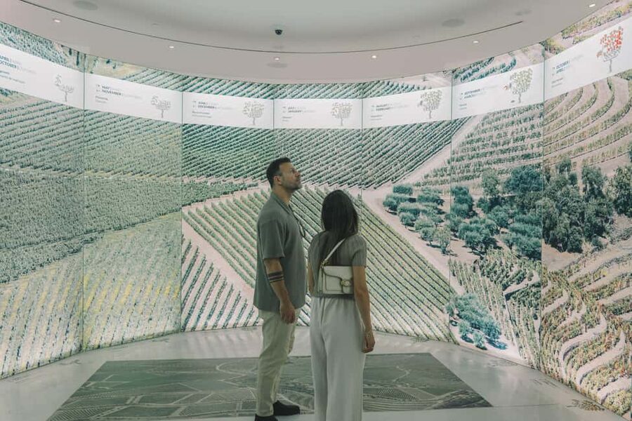 Porto: Entry Ticket at WOW - The Wine Experience Museum - Who should book WOW, and who might want a different plan