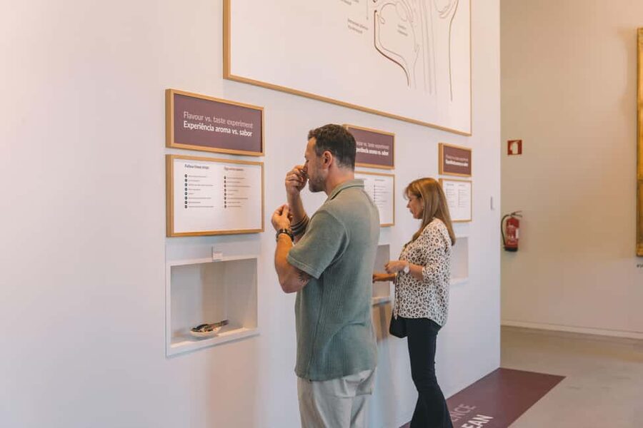 Porto: The Wine Experience, Best Wine Museum in the World - 6 key reasons The Wine Experience works so well