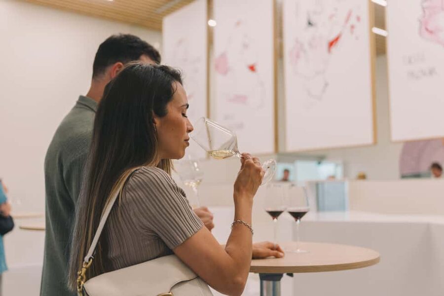 Porto: The Wine Experience, Best Wine Museum in the World - Who should book The Wine Experience at WOW