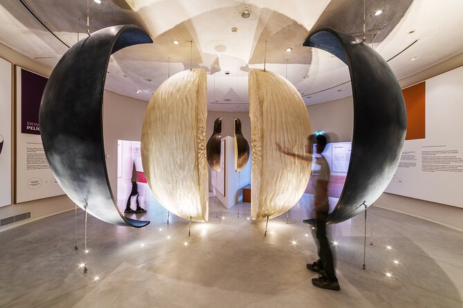 Porto: Wine Experience Museum with 3 Wine Tastings - Why Porto’s Wine Experience Museum Works for First-Timers