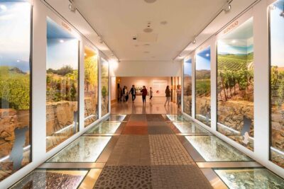 Porto: Wine Experience Museum with 3 Wine Tastings - Sensory Stations and Aroma Challenges (Not Just Standing and Reading)