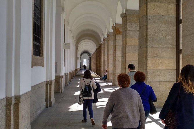 Prado Museum with Reina Sofia Museum Guided Tour - Reina Sofía: Spanish modern art explained through surreal and cubist logic