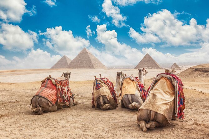 Private Tour: Cairo Day Trip from Hurghada, Including Round-Trip Flights, Giza Pyramids, Sphinx, and Egyptian Museum - Great Sphinx: the Quick Stop That Still Feels Iconic