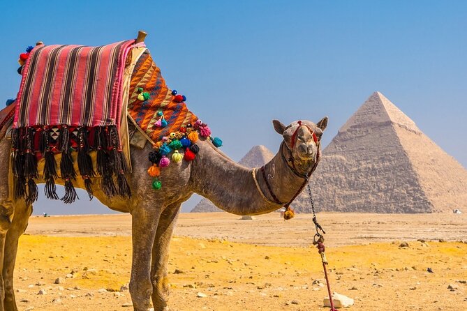 Private Tour: Cairo Day Trip from Hurghada, Including Round-Trip Flights, Giza Pyramids, Sphinx, and Egyptian Museum - Should You Book This Tour or Not?