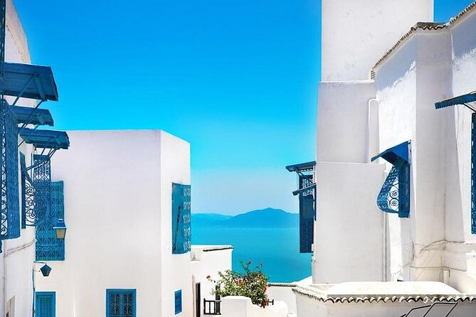Private tour: Medina,Carthage ,Sidi Bou Said, Bardo Museum+lunch - Quick hits before you go