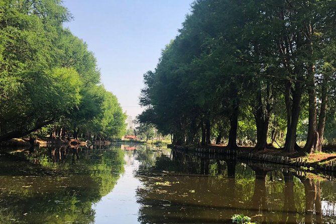 Private Tour: Xochimilco, Coyoacan and Frida Kahlo Museum - Price and Value: What $269.99 Buys You in Real Life