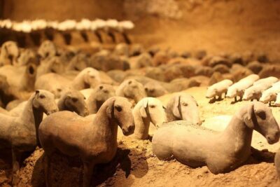 Private Xi'an Tour: Terracotta Warriors, Hanyangling Museum, Cave Homes - Terracotta Warriors Museum (3 Hours): Getting Past the Headline
