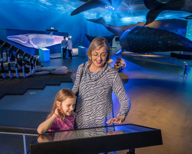 Reykjavik: Whales of Iceland Museum Entrance Ticket - Who this museum is best for