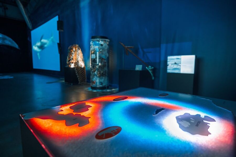 Reykjavik: Whales of Iceland Museum Entrance Ticket - Stepping into Whales of Iceland’s giant hall