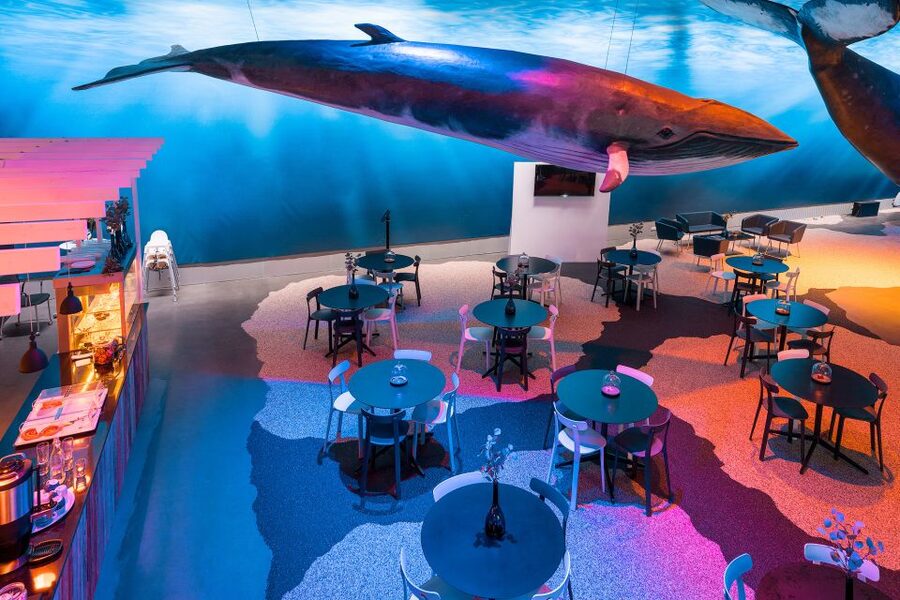 Reykjavik: Whales of Iceland Museum Entrance Ticket - Audio guide in 17 languages: headphones matter