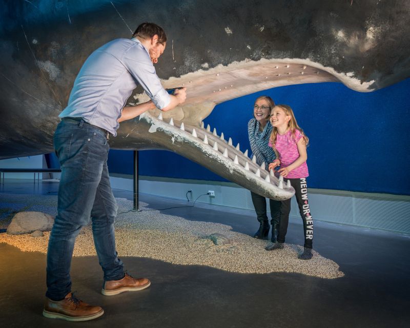 Reykjavik: Whales of Iceland Museum Entrance Ticket - How long it takes: plan for a focused visit