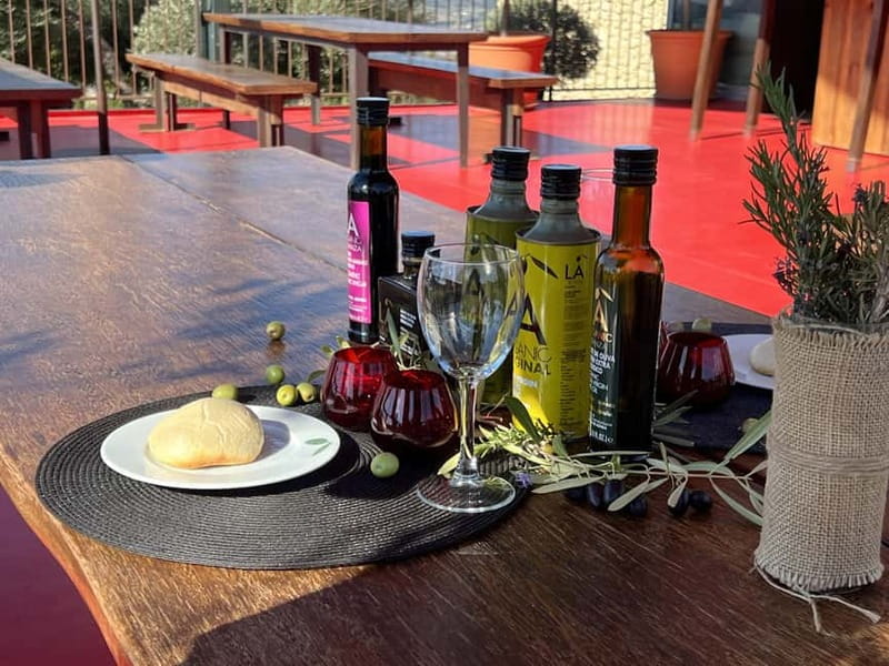 Ronda: LA Almazara LA Organic, Olive Oil Museum and Tasting - LA Organic Country House: the Ronda start point and what to expect
